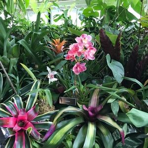 Meet your Posher, Carly